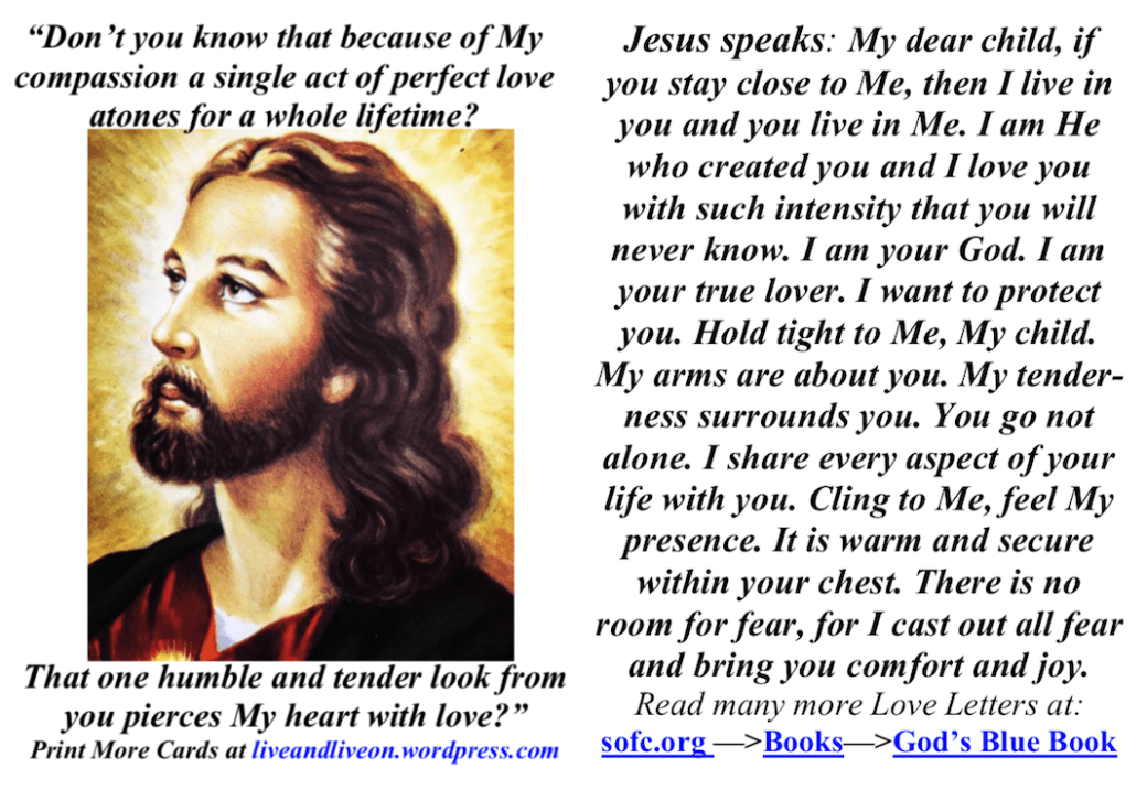 Screen Shot 2019-01-03 at 12.13.41 PM