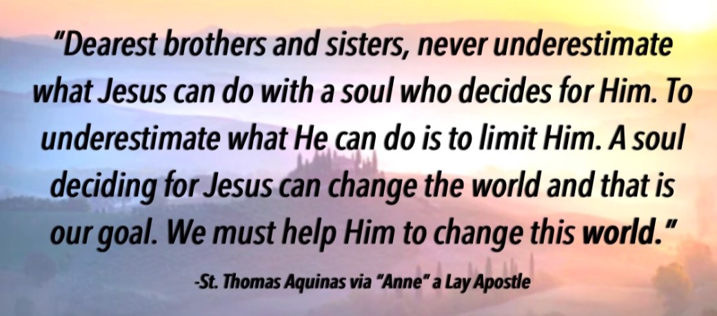 St Thomas Aquinas Quote