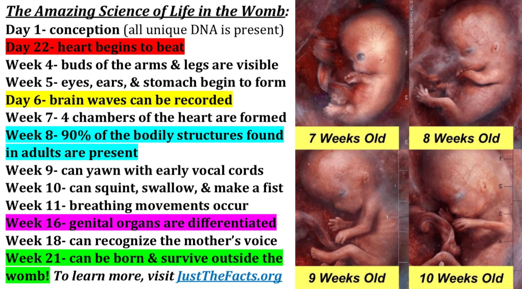 This image has an empty alt attribute; its file name is image-10.png